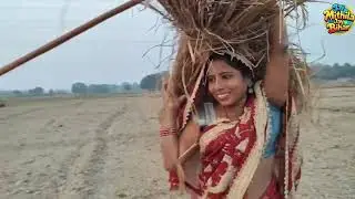 ढ़ोरबा के खेत में धान चोरी # ढ़ोरबा 😡😡jay mithila jay bihar comedy subscribe like share comment 