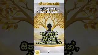 අපි භාවනා කරමු ආනාපානසති භාවනාව #bana#motivation #bududahama#budubana#buddha#බුදුදහම#niwana #නිවන්මග