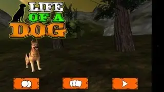 Life of a Dog : Survival Story