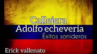 aldolfo echeveria callejera