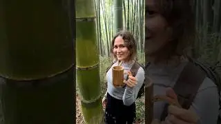 &iquest;C&oacute;mo Encontrar Agua en la Selva?