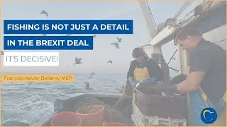 Fishing is not just a detail in the #Brexit deal, it's decisive!