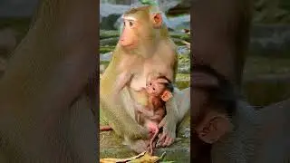 Katrina mum te, aches her baby walking step by step, She fee, ls really lovely with Kendra much.