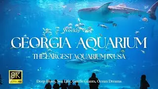 Georgia Aquarium Tour USA🐋| Incredible Sea Life & Fun Facts | Travel Guide 2025