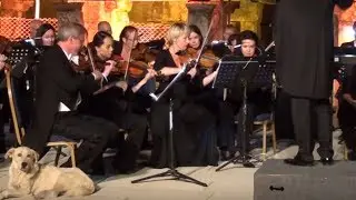 Das Orchester beginnt zu spielen - dann st&uuml;rmt pl&ouml;tzlich Jemand die B&uuml;hne!