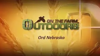 Outdoors On The Farm: Last Chance Pheasant Hunt in Ord Nebraska
