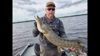 Mega Live i B&auml;singen Version 2 (Team RumpMas Fishing)