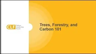 Wood Carbon Seminars - 1.2 - Trees, Forestry, and Carbon 101