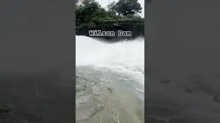 Bhandardara Dam full flow of water || Wilson Dam overflow
