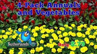 Early Bird Sale 5/12/18 AR