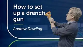 How to Set up a Drench Gun | PGG Wrightson