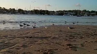 Cronulla beach Sydney NSW Australia 