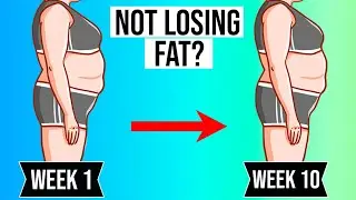 ❓ Why You're Not Losing Fat (the TRUTH! 💡)