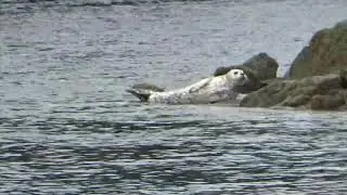 Tour of Pender Harbor BC Canada
