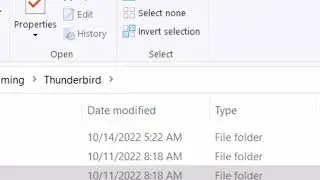 Thunderbird export profile procedure