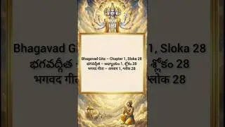 Bhagavad Gita Chapter 1 Sloka 28 | Meaning in English, Telugu & Hindi | Daily Sloka