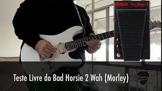 Teste do Wah Bad Horsie 2 (Morley)