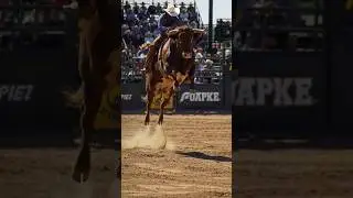 World&rsquo;s Best Bull in Action 🐂🔥 | Ultimate USA Rodeo Power! 🇺🇸 #Shorts