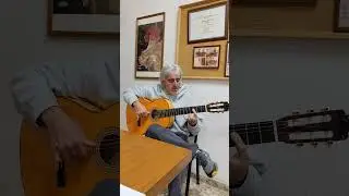 seguiriya #clasesdeguitarraflamenca  #pacodelucia #guitarra #guitar