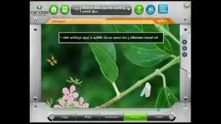 Grade 8 Science 1 Candela learning