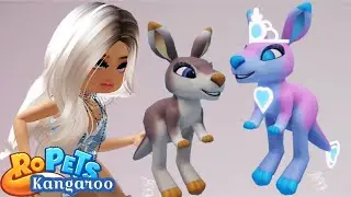 ROPETS KANGAROO ROBLOX
