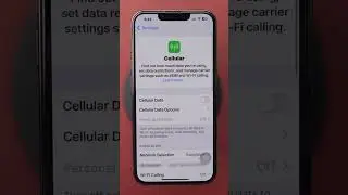 How to Clear Mobile Data Usage on iPhone