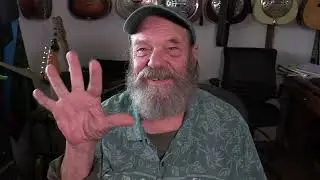 Сенсорное усиление у кошек