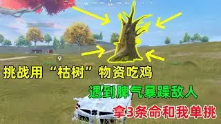 挑战用“枯树”物资吃鸡！比偷别人果实肥多了，暴躁敌人用3条命和我单挑！