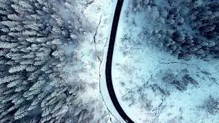 Blackforest/Schwarzwald 4k cinematic video