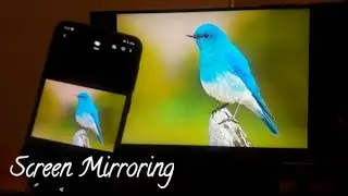 Как подключить телефон к телевизору | Screen Mirroring | Без кабеля и Chromecast