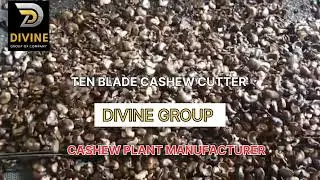 High Speed Cashew Cutting Machine #cashewcuttingmachine #machine #cashewprocessing