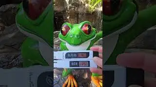 💧 🏰 Результаты анализа воды в парке Disney&rsquo;s Animal Kingdom (ppm) | Часть 2