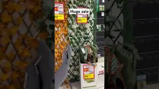 Huge sale in WILKO