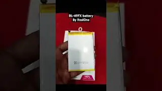 RealOne BL-49FX battery