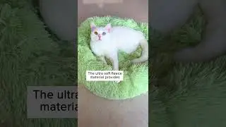 A Cat Bed That Feels Like Cloud! 🫠☁️