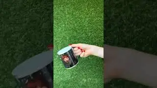 Your photo on a mug from MYPICTURE