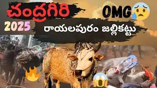 Rayalpuram🔥|Jallikattu2025|SHOCKING|😱#chandragiri#jallikattu#trending#vlogs#chittor#vlogs#bull 