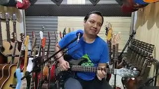 Washburn Maverick Series Junior - Demo