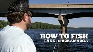 Michael Neal Provides Winning Strategies for Lake Chickamauga