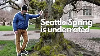 Arborist Moves from Louisiana to Seattle and experiences Spring in the PNW