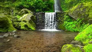 Peaceful River in 4K with Waterfall and Piano | Relaxation Music for Study and Healing Sleep