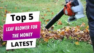 ✅ Best leaf blower for the money: Leaf blower for the money (Buying Guide)