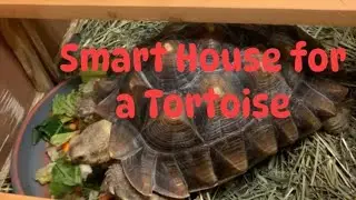 Smart House For A Tortoise