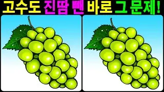 【틀린그림찾기/치매예방】 고수도 진땀 뺀 바로 그 문제! 【다른그림찾기/두뇌운동】
