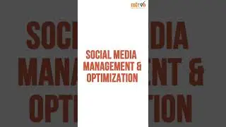 Editvo- Digital Marketing Agency in Noida | SEO, Social Media, Performance Marketing & Branding