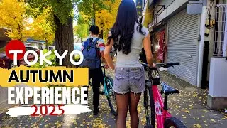 Tokyo Autumn Walk 2025 | Tokyo&rsquo;s Golden Road: Hachioji Ginkgo Festival Walk