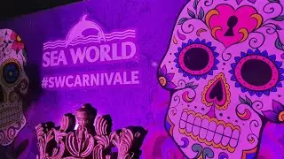 Carnivale - Sea World Gold Coast 2020 - Jaggs Journeys