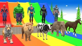 Long Slide Game With Cow Elephant Gorilla Hippopotamus Tiger - 3d Animal Game - Funny 3d Animals