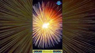 Fireworks | Atosh Baji | Patakha #shorts #fireworks #halercm