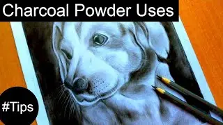 How To Draw REALISTIC ANIMAL FUR, Drawing Realistic DOG FUR, Drawing Fur With CHARCOAL